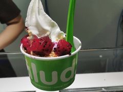 -Salud撒露欧洲冻酸奶(蓝色港湾店)