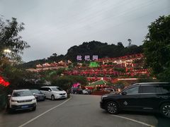 -枇杷园食为鲜火锅(南山店)