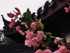 -莫愁湖公园