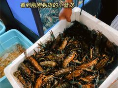 -星记小馆·小蓝龙·老南京砂锅菜(上海路店)