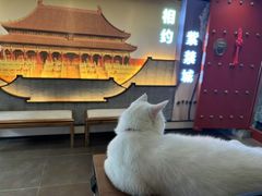 -府学·秋果S酒店(北京南锣鼓巷四合院店)