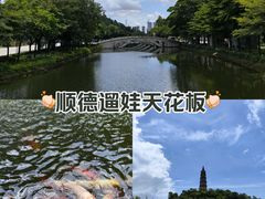 -顺峰山公园