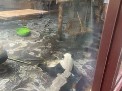-济南野生动物世界