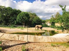 -清迈夜间动物园