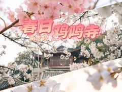 -鸡鸣寺
