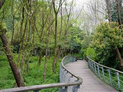 -西湖风景区-江洋畈生态公园