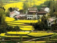 -黎坪国家森林公园