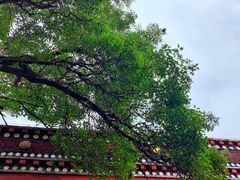 -塔尔寺