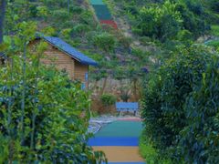 -九龙江国家森林公园