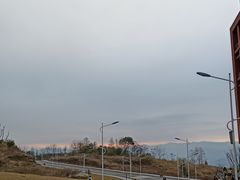-万州大虾(五桥店)