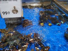 -盒马鲜生(首义店)