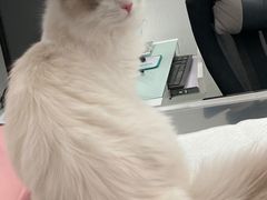 -北京恒爱动物医院(清景园分院)