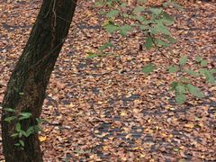 -宝岩生态观光园