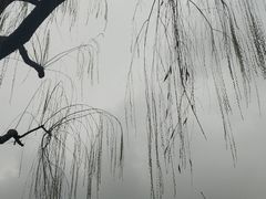 -西湖天地