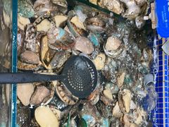 -丰卓会海鲜自助(中润大道店)