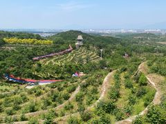 -密云玫瑰情园