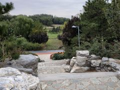 -大兴滨河森林公园