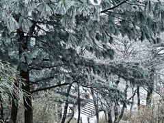 -洛阳白云山景区