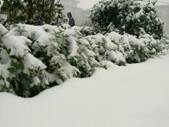 -北大街(地铁站)