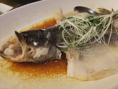-国龙大酒店-中餐厅
