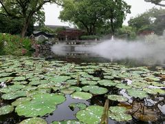 -杭州西湖柳莺里酒店·闻莺厅