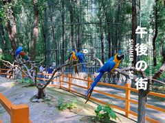 -北京野生动物园