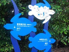 -广东惠东海龟国家级自然保护区