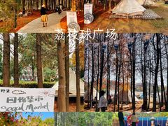 -广州市石门国家森林公园