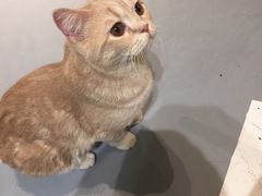 -小时光咖啡馆(开森度假森林店)
