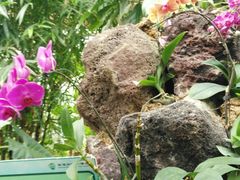 -南通洲际绿博园