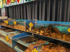 -韩记海鲜饺子旗舰店(红海新区店)