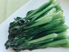 -锦江宾馆-花园餐厅