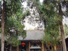 -罔极寺