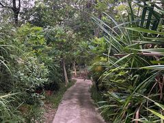 -福田红树林生态公园