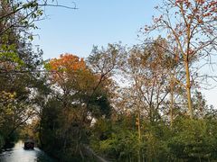 -西溪国家湿地公园