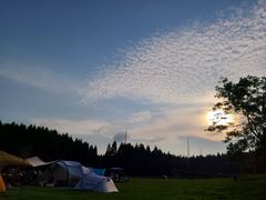 -武陵山森林公园
