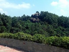 android_upload_pic-火炉山森林公园
