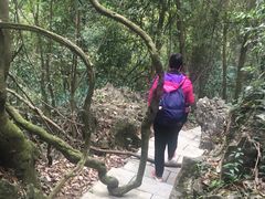 -小七孔景区东门售票处
