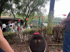 -西安汉城湖景区