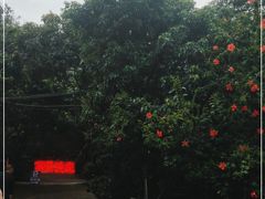 -荔景渔庄