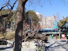 -团结湖公园