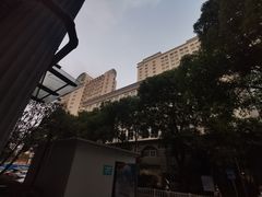 -上海市普陀区中心医院