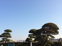 -苏州太湖国际会议中心