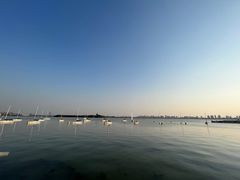 -岁粤Moon·湖景餐厅(月光码头店)