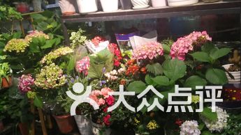 水木花海 电话 地址 价格 营业时间 图 苏州