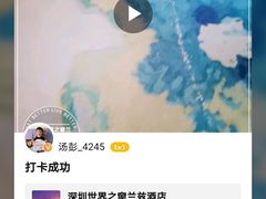 -JOYA湾悦国际酒店(世界之窗店)