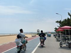 -日照海滨国家森林公园