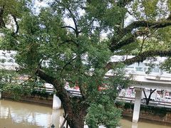 -广东胜利宾馆西关粤中餐厅