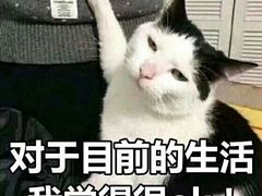 -Awfully Chocolate(来福士广场店)