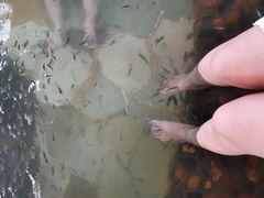 -天目湖涵田半山温泉